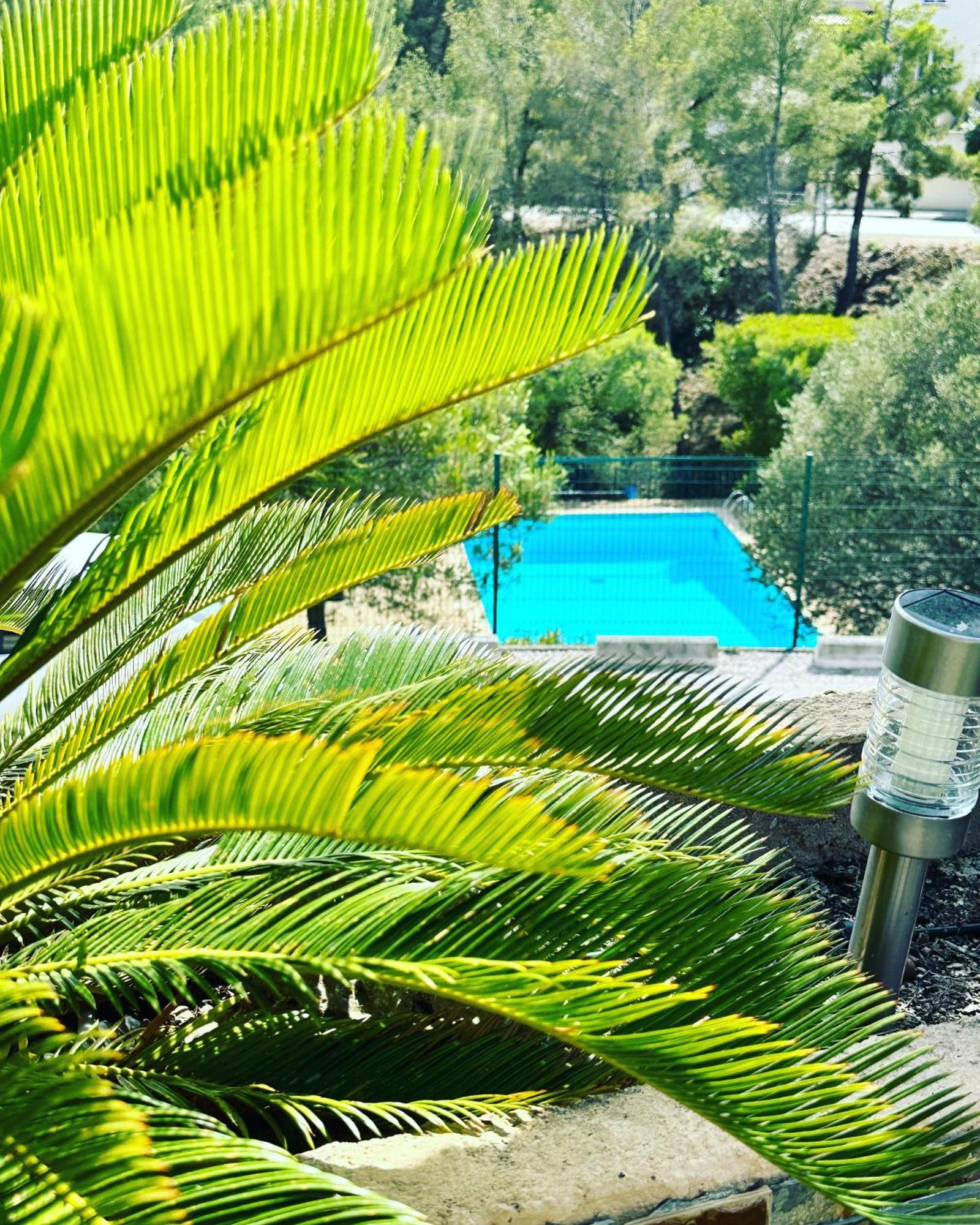 Vuemer Bandol - Grande Terrasse De 45M2 Vue Mer Piscine Parking Buitenkant foto